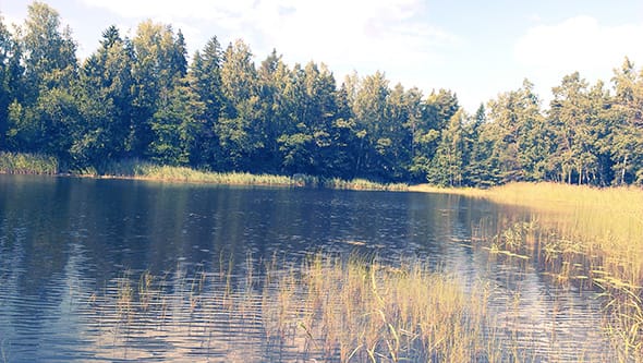 The archipelagic landscape of Finland.